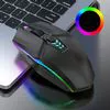 Keyboards & Mouse